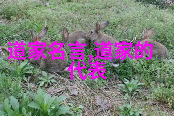 道家故事我和老子的那段修行日子