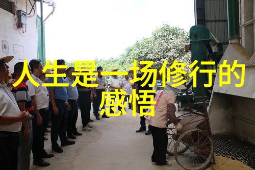 仙风道影儒家剑侠与道家的隐者之间的秘密交锋