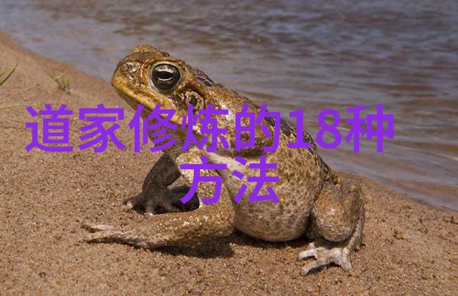 道家学派代表人物是-道德经的智者了解老子的哲学思想