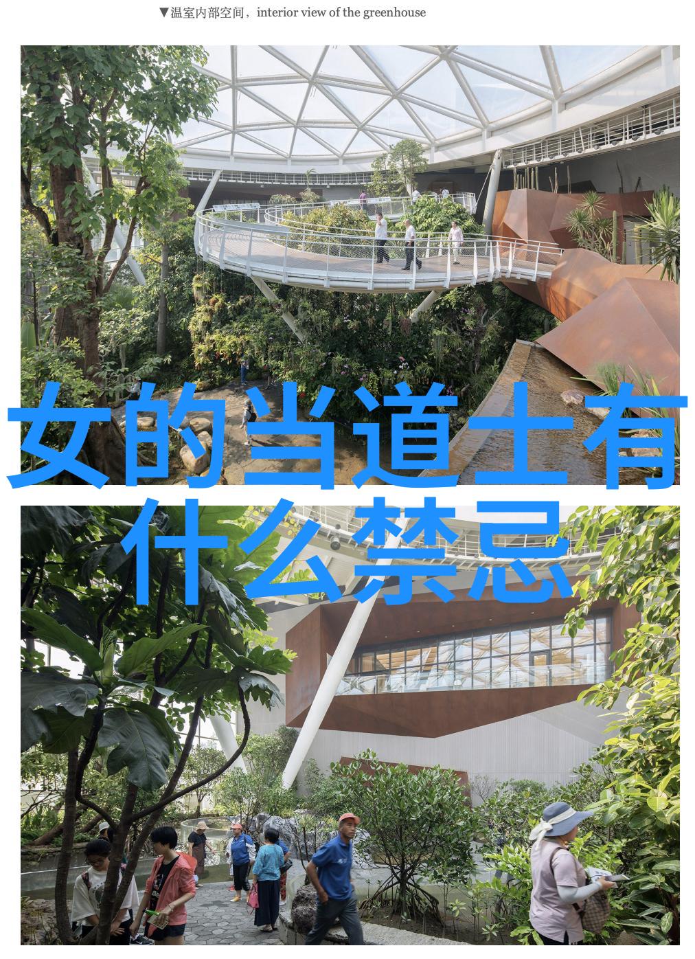 道法自然古代道家的智慧与生活艺术