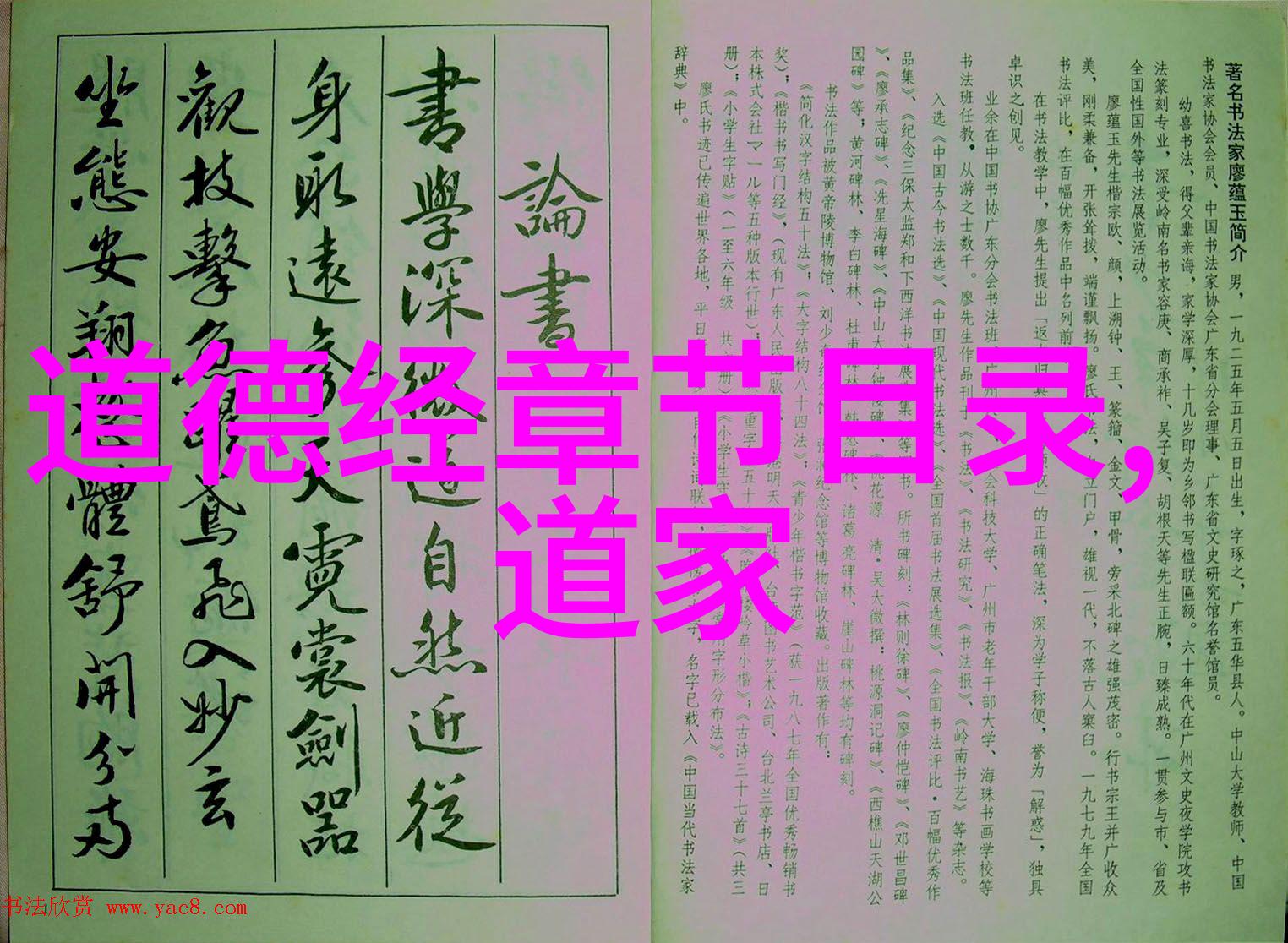 伦理榜样道德代表人物的力量与影响