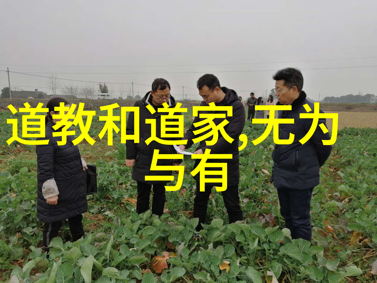 如何理解和实践道德经中的知止矣仁至矣思想