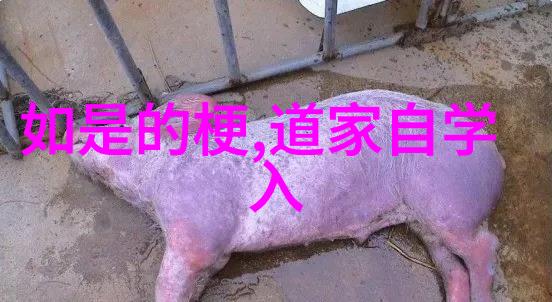 什么因素导致了一些人选择成为无为之人而另一些则不呢