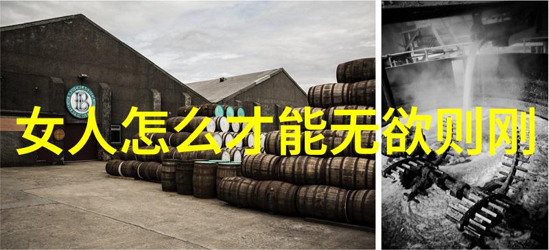鲁迅的过客形象探究反思现代ity与传统道德