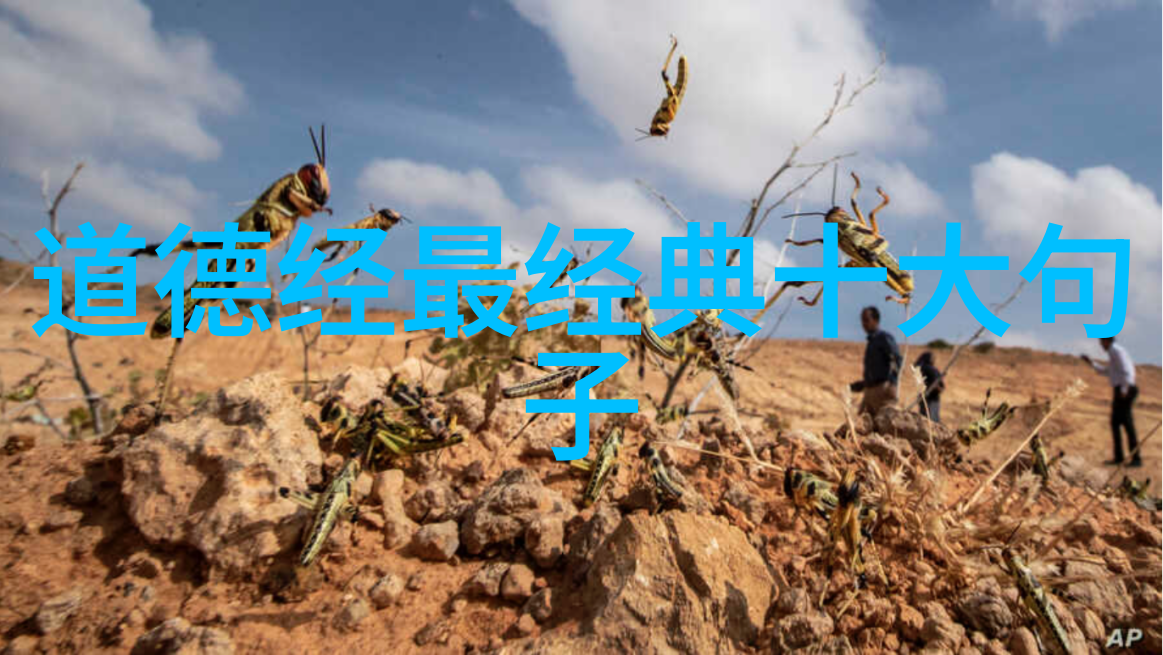 在技术发展迅速的今天我们该如何保持人文关怀而非追求过度科技化简单