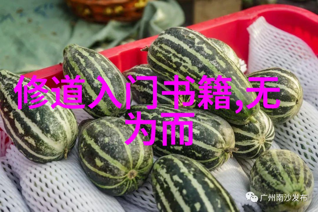 道德经与易经历代道家代表人物的智慧探索