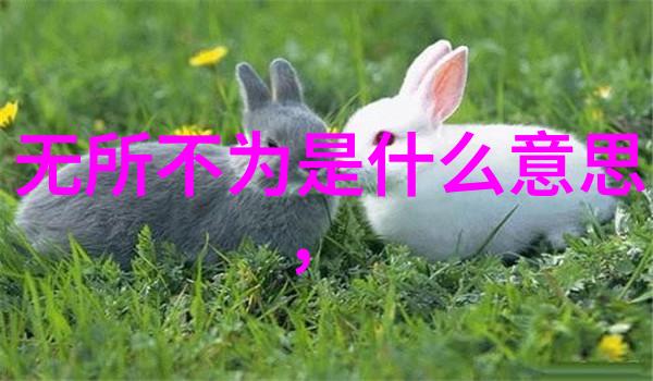 关于修心诗句 - 心灵静默探索古典诗词中的内在修养