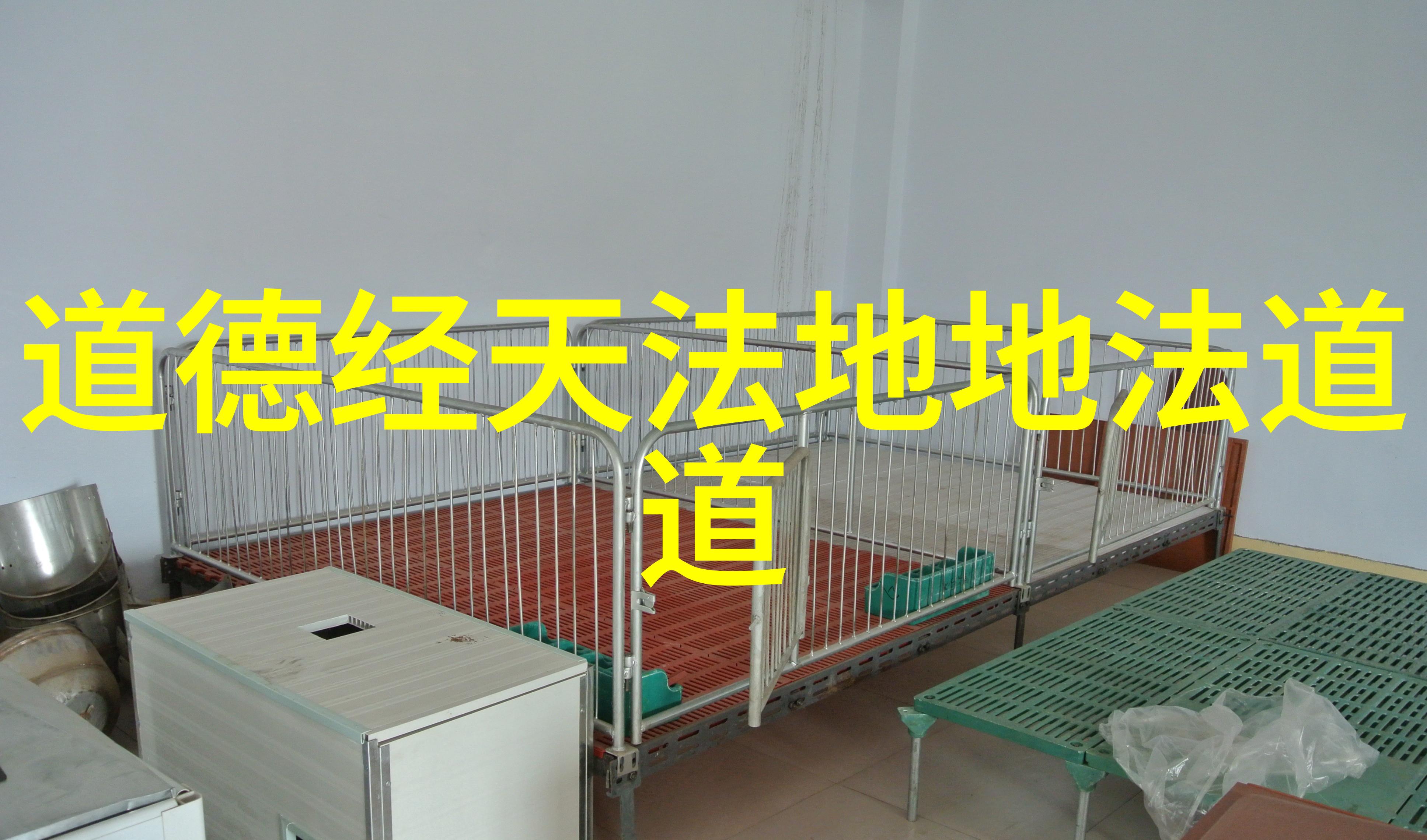 道德经中隐喻的美为女孩儿选取命名之诗