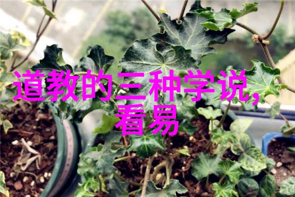 黄金笼守护财富的古老象征