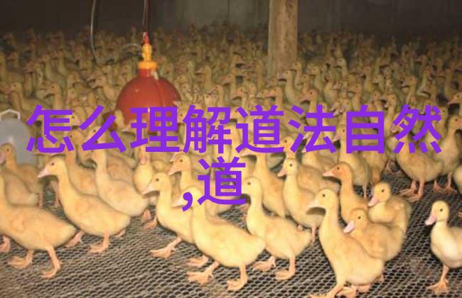 高人为何隐匿探寻道德与智慧的平衡