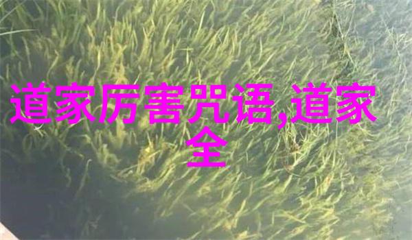 古诗词鉴赏积累-抒情与意境探索唐代诗人的艺术魅力