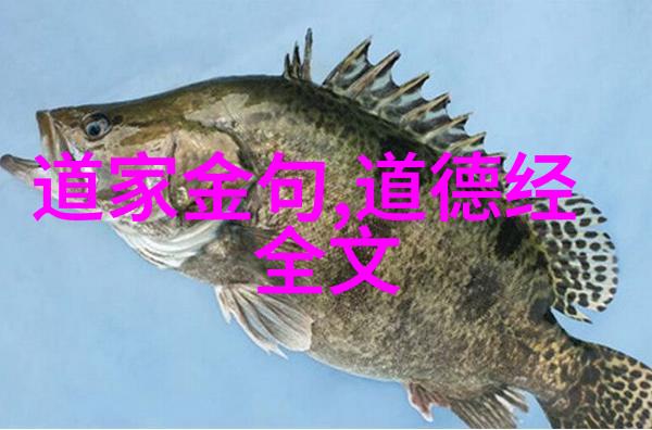 老子道德经中的不贵难得之货的寓意是什么