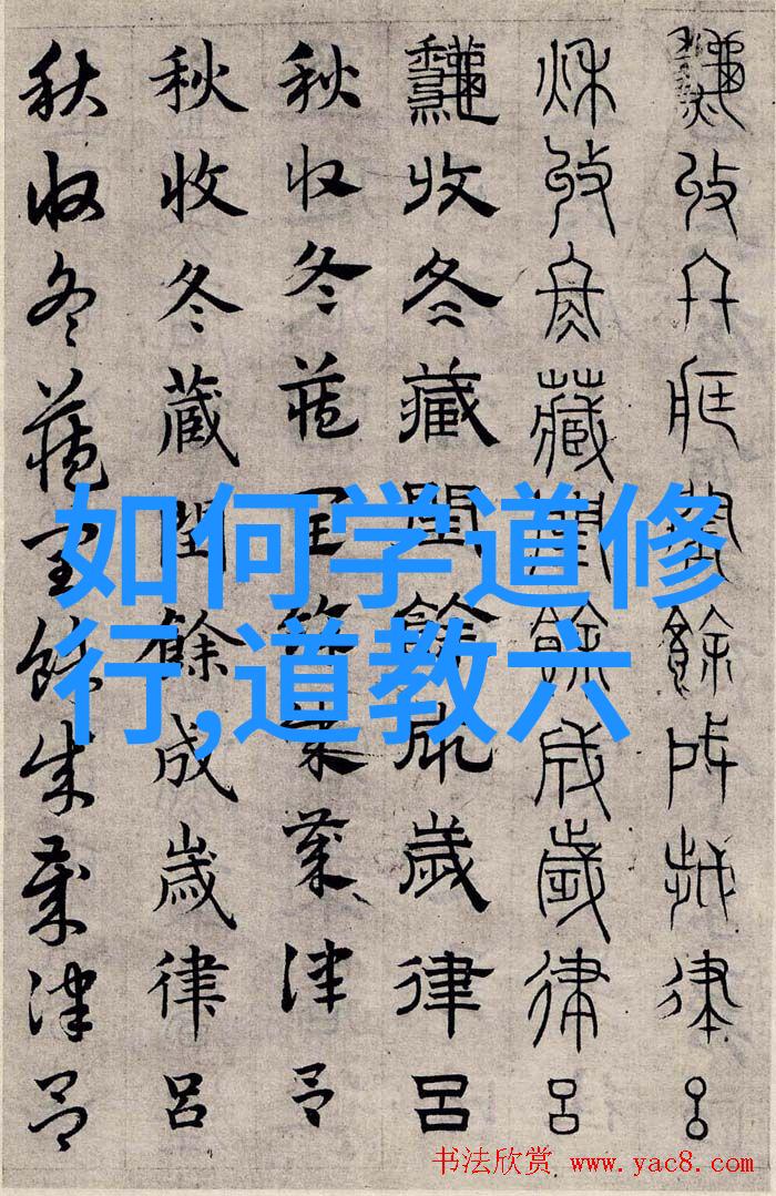 寻道者内心的修炼与灵魂的飞翔