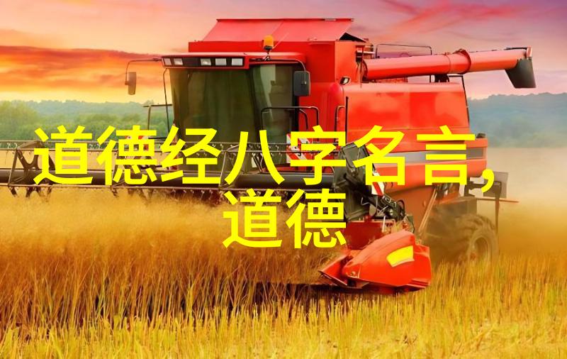 探索道教智慧从内在修为到宇宙观2000字