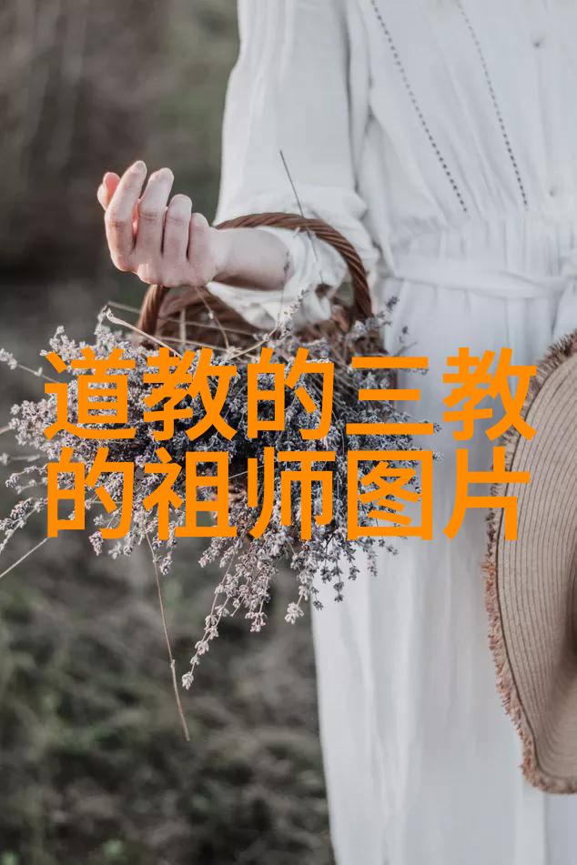 道家文化的深远之谜揭秘天人合一的哲学根源