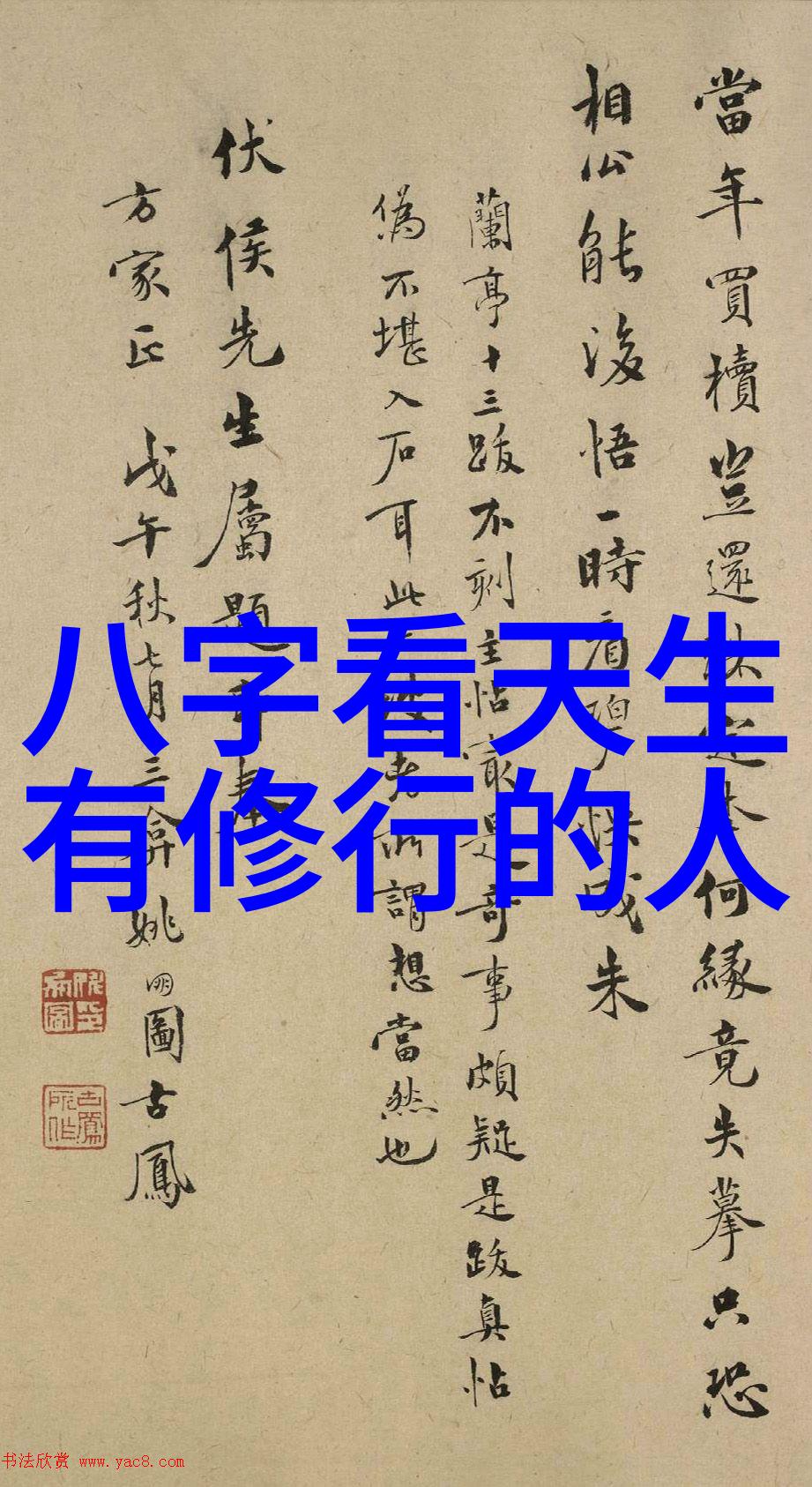 一语成谜一声惊人解析那些充满韵律感的好听道士名字