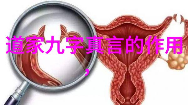 道德经无为而无不为静观自然顺应时势