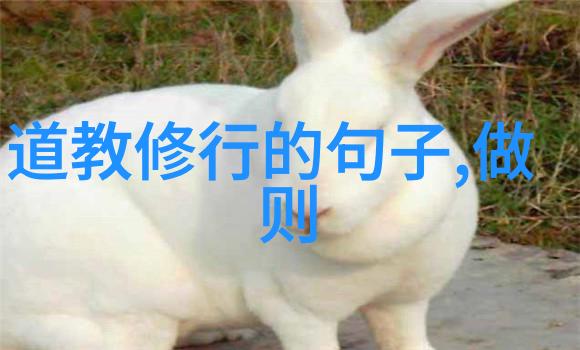 我揭秘引雷诀手势如何像武侠一样召唤雷霆