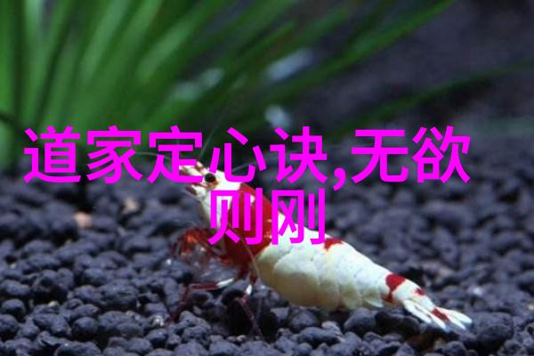 我来告诉你了解儒家经典四书五经的趣味世界