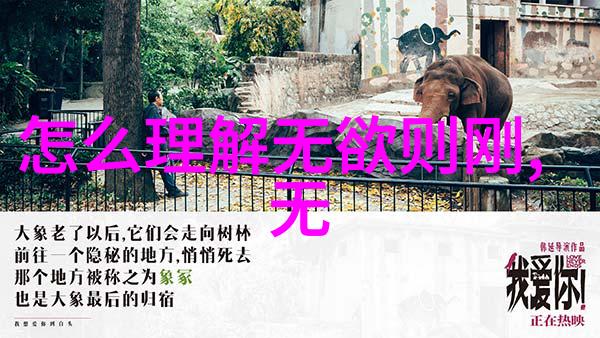 修行不愿透露的秘密-隐遁者之路探寻内心的真谛