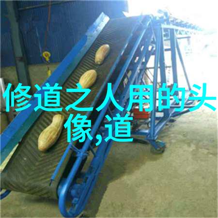 道教经书排行榜揭秘天师之藏