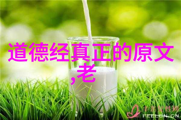 天地玄黄修仙者自在探秘九重天界