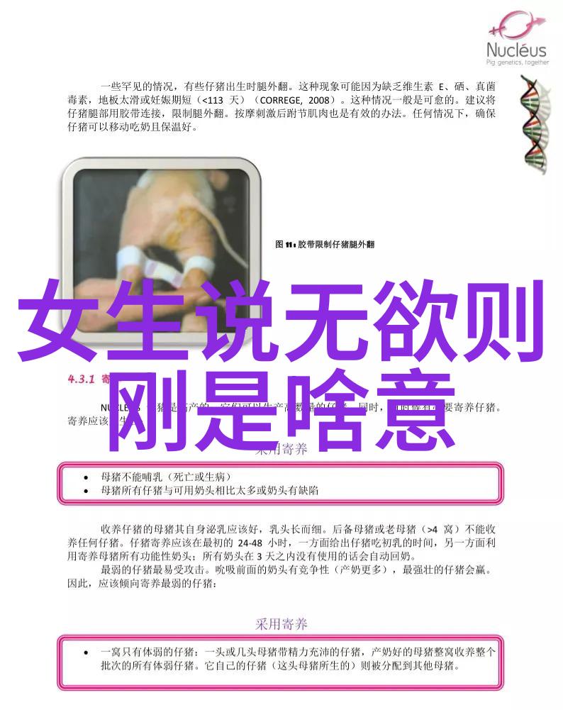 书法艺术的魅力书写之美
