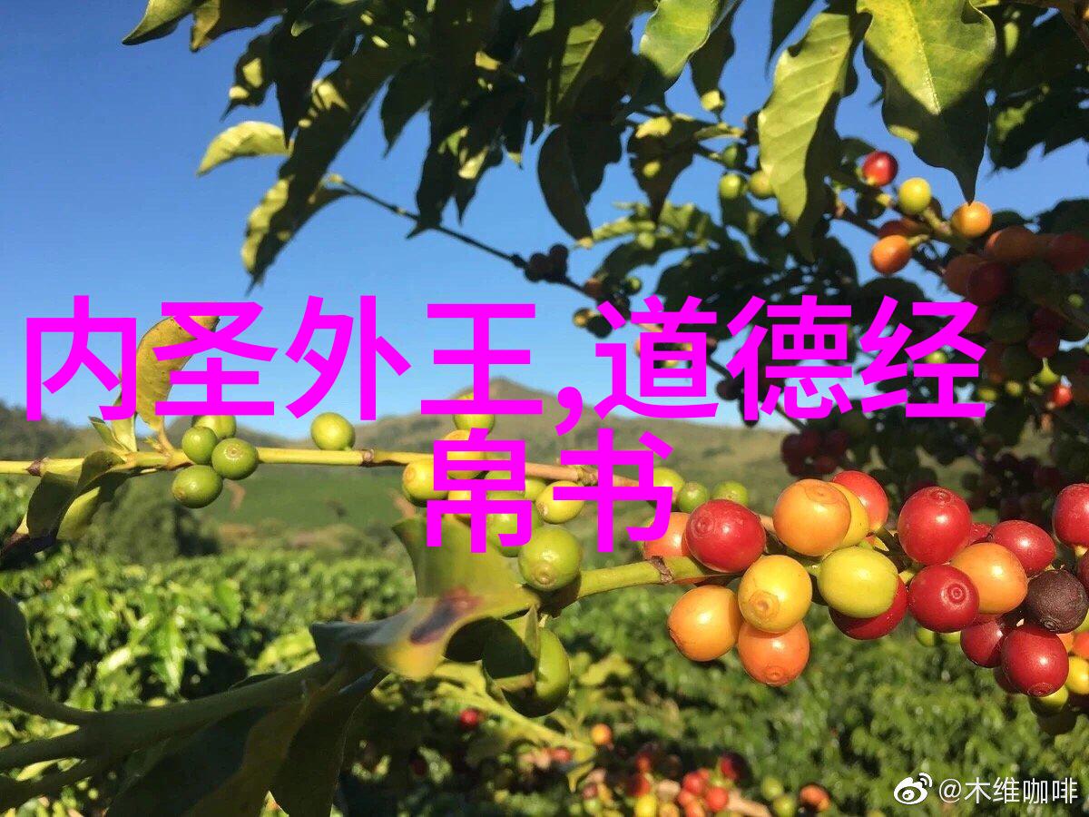 门派对比探究不同道教宗派下最强大的真人及其特点