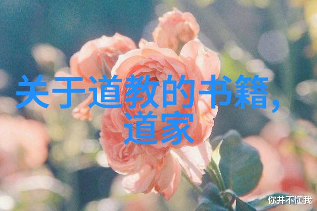 道家基础知识入门玄学书籍-探秘道法引领你走进道家玄学的奇妙世界