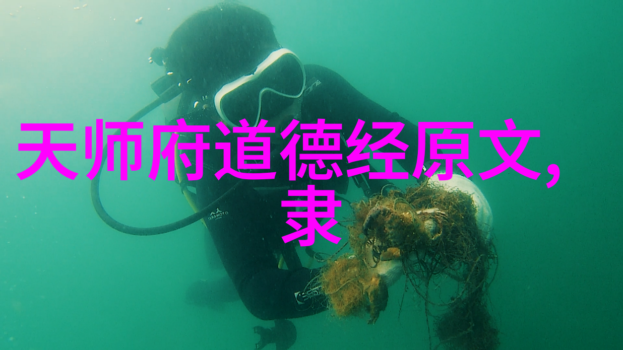 道教派别有哪些-揭秘道教的众多派别从清真道到全真道