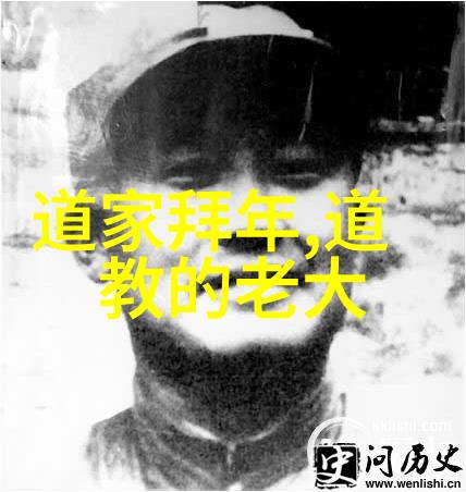 永恒的追求道心相依欲望之轮