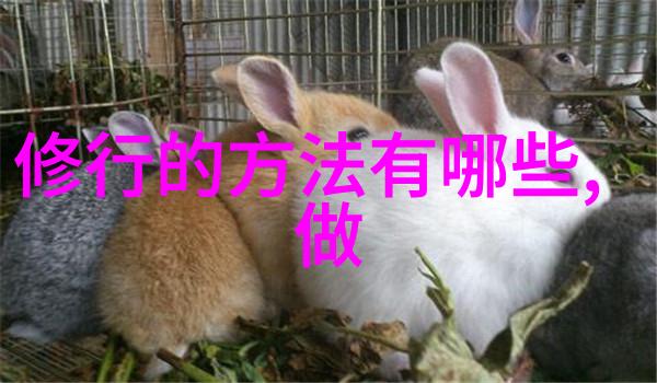 边做边爱BD免费看片我是如何在家里偷偷追剧的