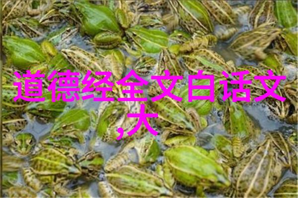 道德经全文带拼音探索老子智慧的宝库