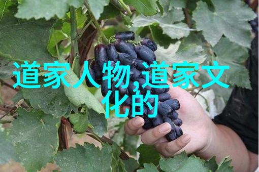 文人墨客与书法艺术的传承王羲之兰亭序的后世影响探究
