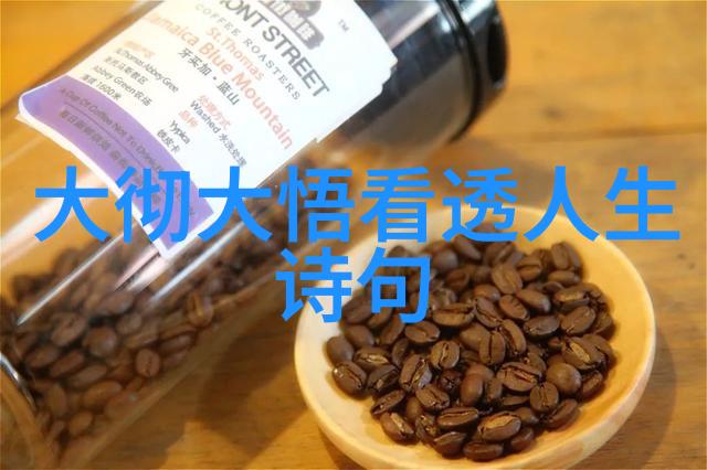 道家哲学的核心思想探究