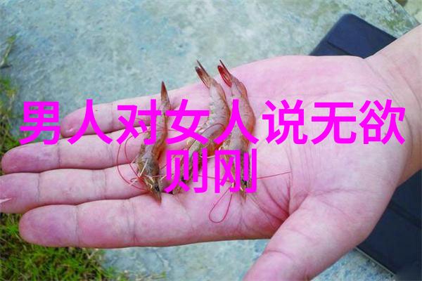 听说你要娶老子家族和谐的婚姻梦想