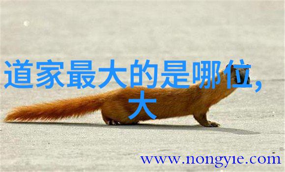 道教修行-如何修炼成为一名真正的道士