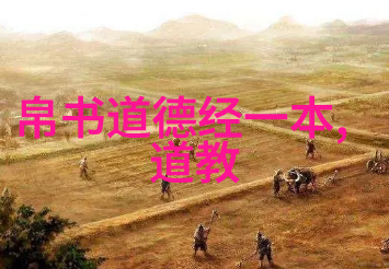 道教经典书籍道教圣典道家哲学内丹术修炼法则
