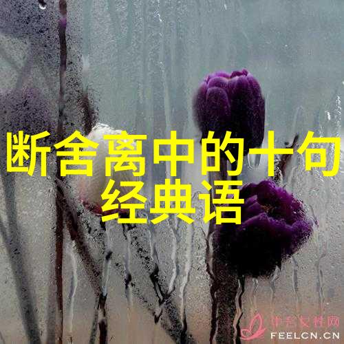 道德经全篇解读与实践指南