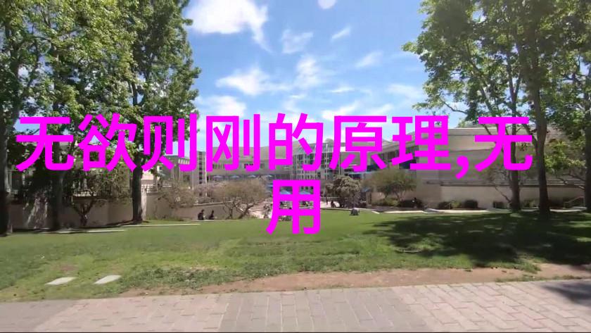 天赐智慧悟透生命之道的艺术与哲学