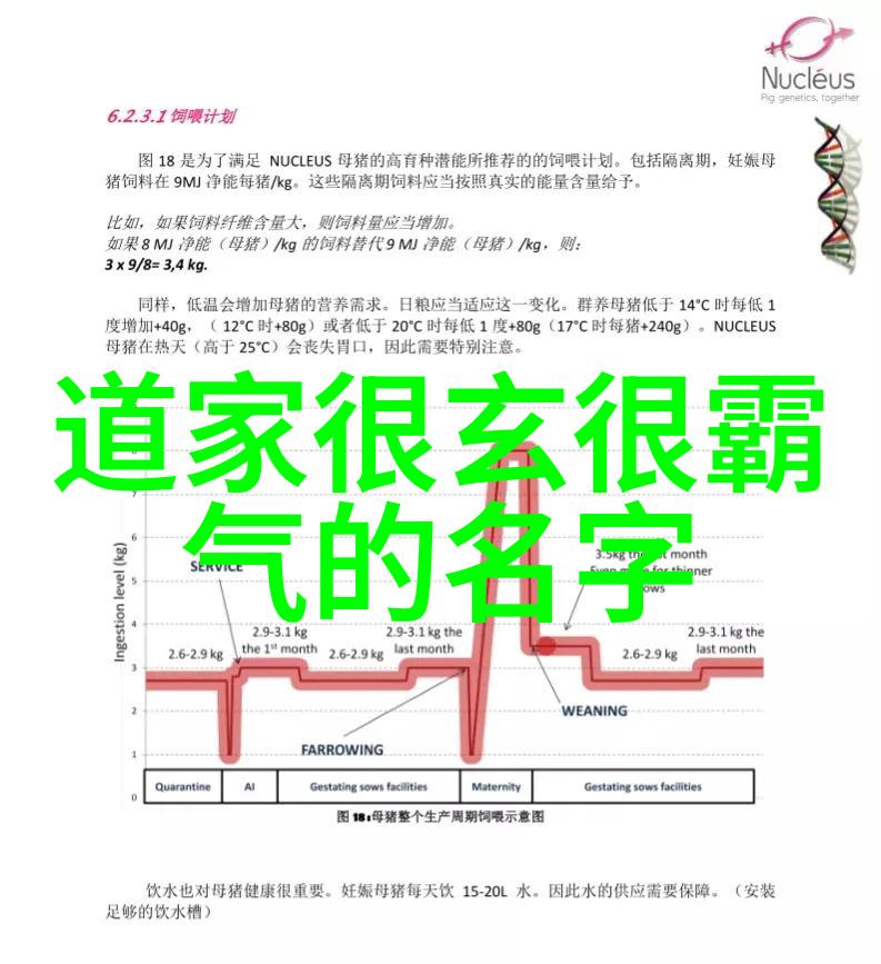 道德经81全文及译文-解读老子道德经第八十一章智慧的奥义与宇宙之谜