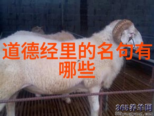 老子与庄子的智慧道家哲学的源头探索