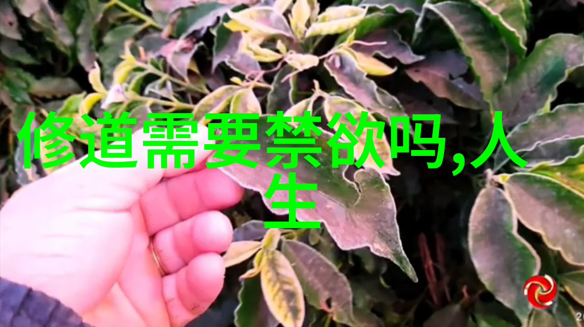 道家文化现代化代表人物道教现代化发展的代表性人物