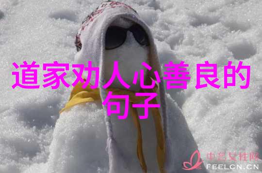 天道经-探索未知天道经修成之谜