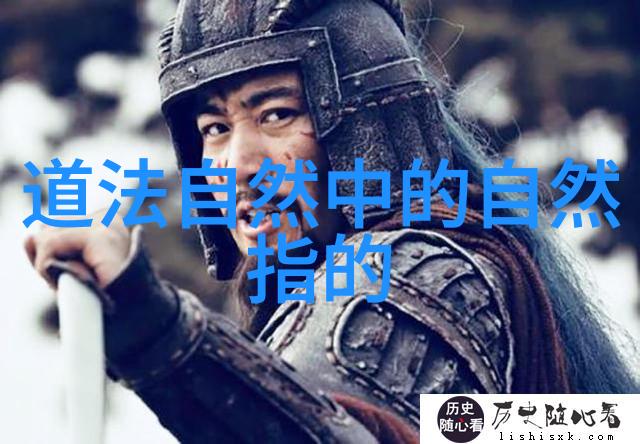 半面妆探索影子与光线的艺术