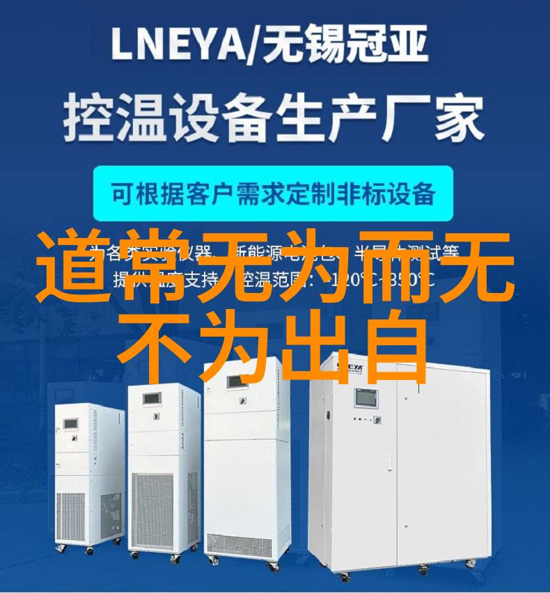 无为无不为无为而有为-天道酬勤从无为到成就的智慧探索