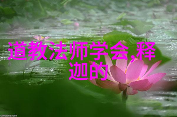 道家之谜创始人的秘密