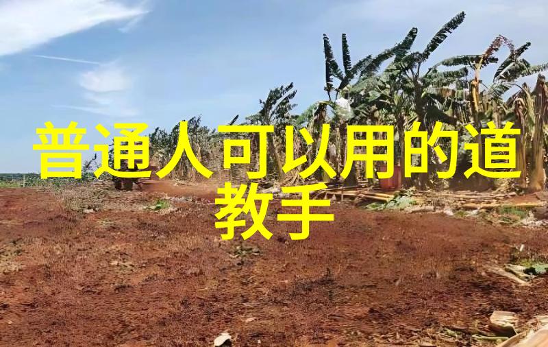 深度解读-探究得道境界超越平凡的精神追求