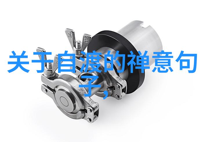 道藏中的隐秘篇章