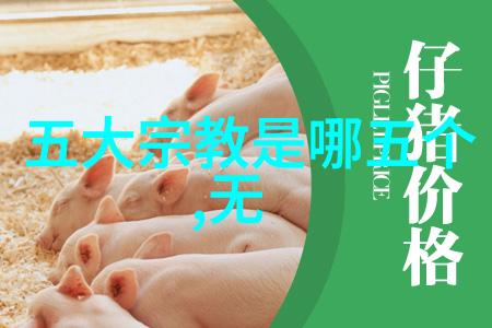 无欲则刚她是如何成为智慧女王的